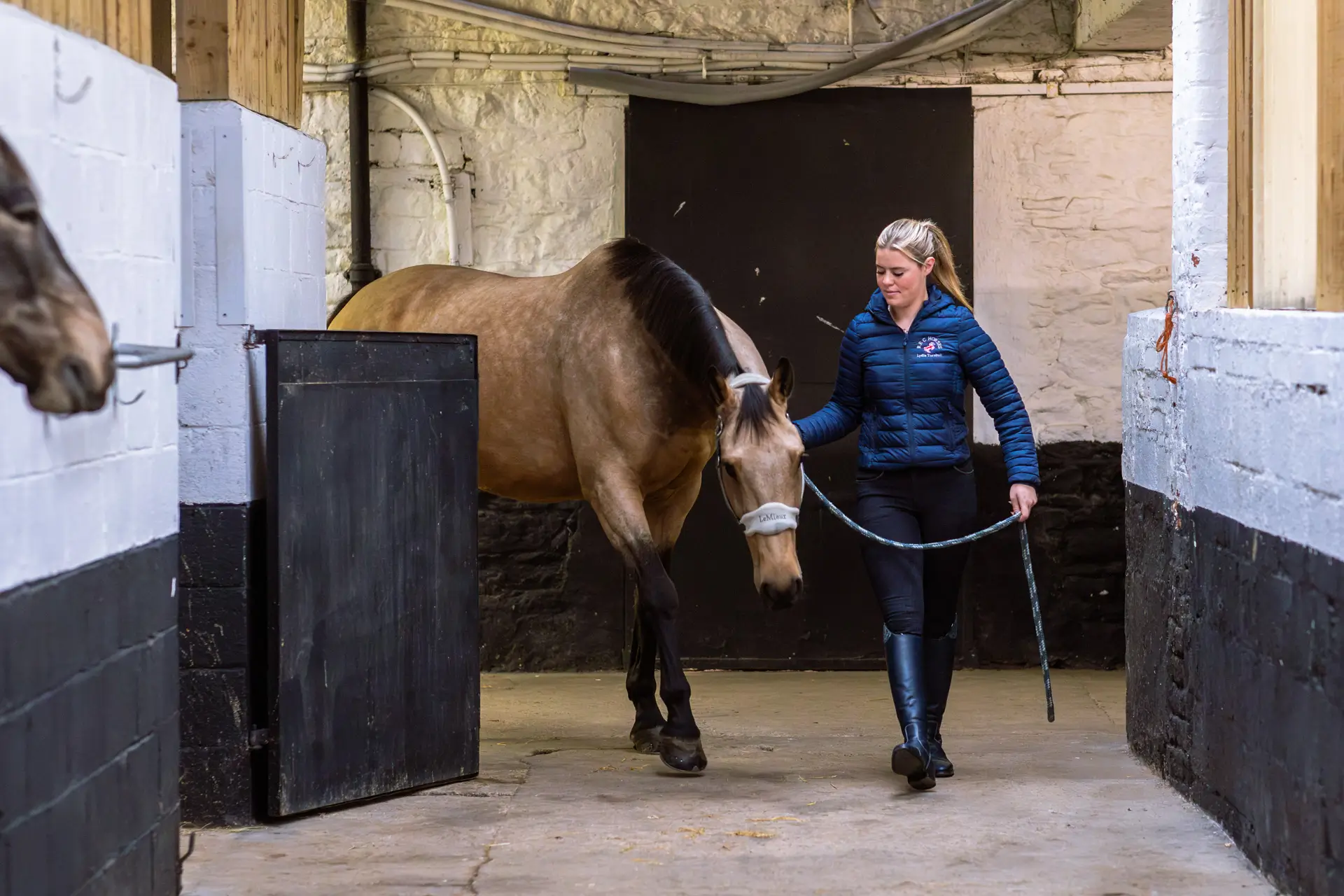 Vet Vision AI monitoring technology used in equine care